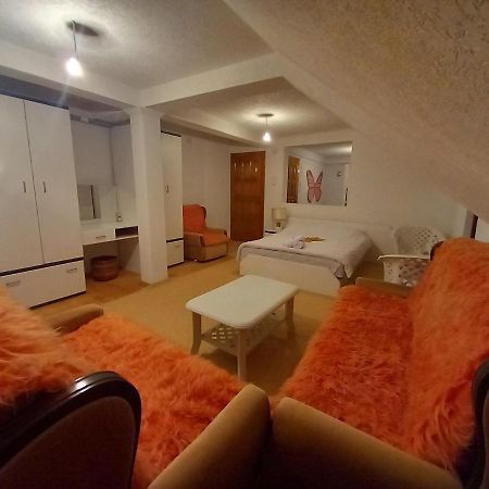 Apartment Little Village 플라브 외부 사진