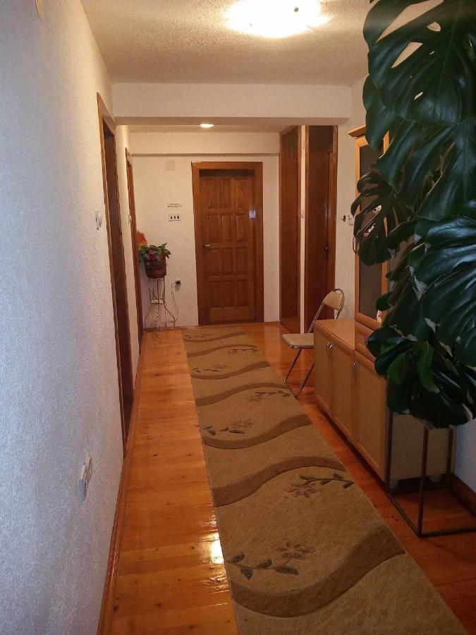 Apartment Little Village 플라브 외부 사진